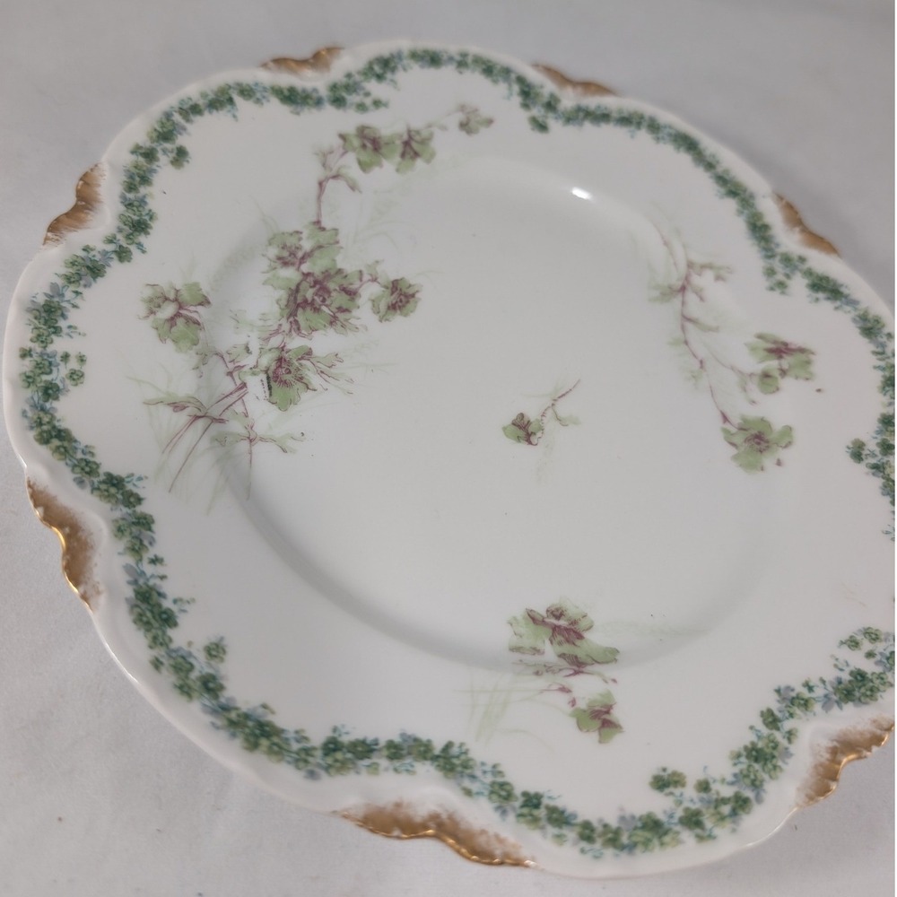 Haviland France Limoges‎ Plate Wright Tyndale & Van Roden Floral Green Gold